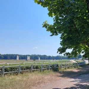Galopprennbahn Dresden