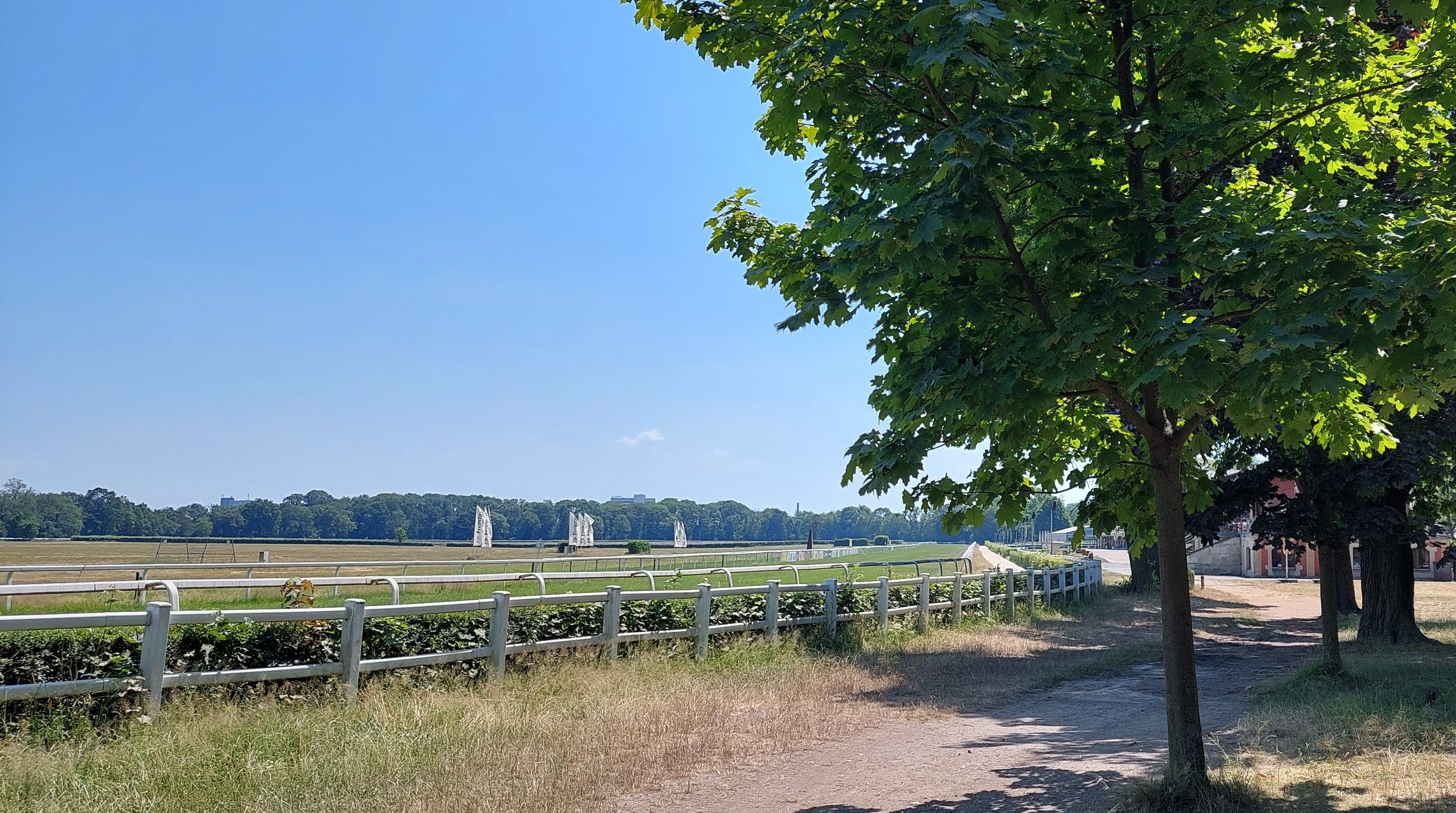 Galopprennbahn Dresden